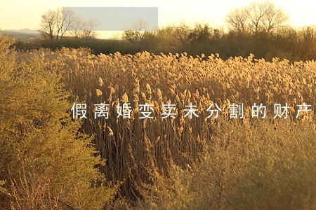 假离婚变卖未分割的财产 假离婚变卖未分割的财产