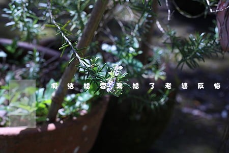 假结婚要离婚了老婆反悔 假结婚要离婚了老婆反悔
