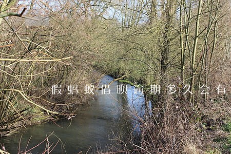 假蚂蚁借呗逾期多久会有影响吗 假蚂蚁借呗逾期多久会有影响吗