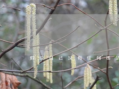 假设自己没有任何违法违章 假设自己没有任何违法违章