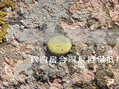 假购房合同反担保抵押违法吗 假购房合同反担保抵押违法吗