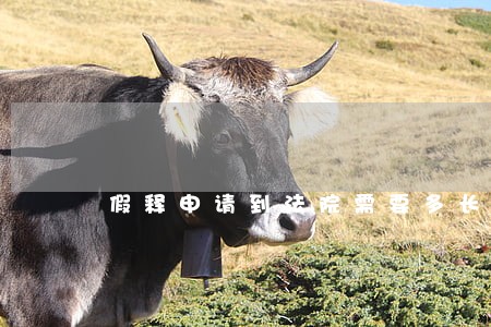 假释申请到法院需要多长时间 假释申请到法院需要多长时间
