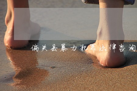 偏关县暴力犯罪法律咨询热线