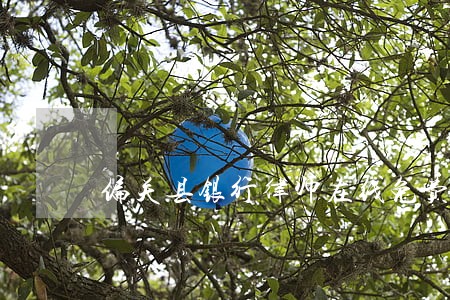 偏关县银行律师在线免费咨询