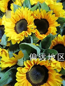 偏远地区法律援助程序 偏远地区法律援助程序