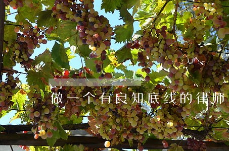 做一个有良知底线的律师