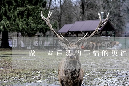做一些违法的事情的英语翻译