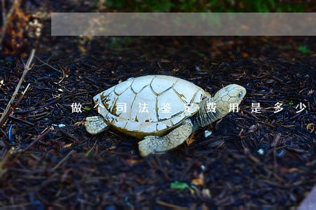 做个司法鉴定费用是多少 做个司法鉴定费用是多少