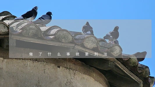 做了什么事就要刑法 做了什么事就要刑法