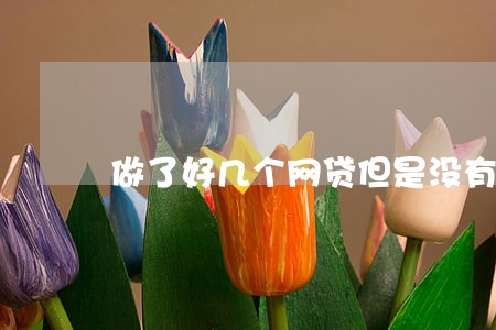 做了好几个网贷但是没有逾期 做了好几个网贷但是没有逾期
