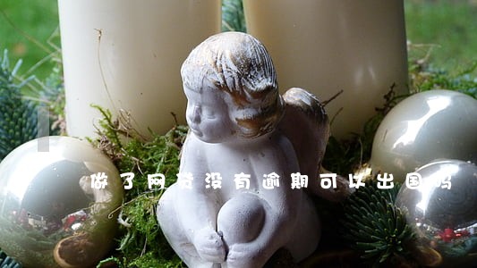 做了网贷没有逾期可以出国吗 做了网贷没有逾期可以出国吗