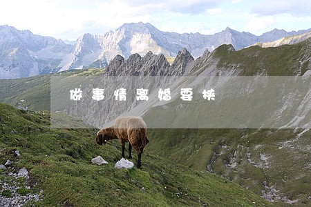 做事情离婚要挟 做事情离婚要挟