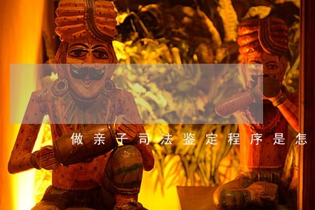 做亲子司法鉴定程序是怎样的呢