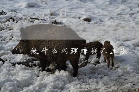 做什么代理赚钱不违法 做什么代理赚钱不违法