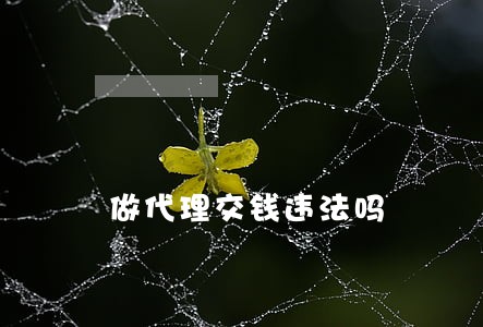 做代理交钱违法吗 做代理交钱违法吗