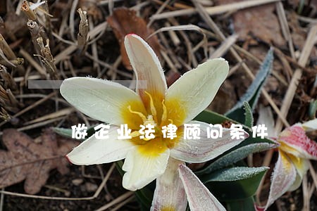做企业法律顾问条件 做企业法律顾问条件