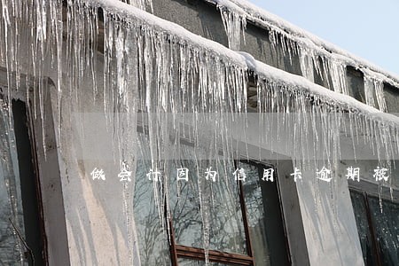 做会计因为信用卡逾期被辞退 做会计因为信用卡逾期被辞退