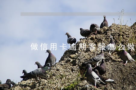 做信用卡逾期客服怎么做 做信用卡逾期客服怎么做