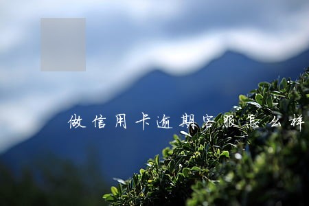 做信用卡逾期客服怎么样