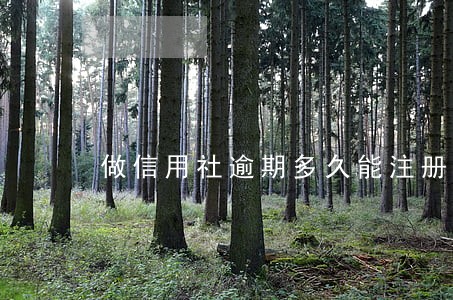 做信用社逾期多久能注册公司 做信用社逾期多久能注册公司