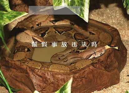 做假事故违法吗 做假事故违法吗
