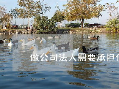 做公司法人需要承担什么责任 做公司法人需要承担什么责任