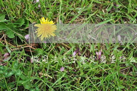 做司法亲子鉴定需要什么 做司法亲子鉴定需要什么