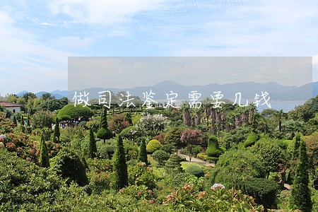 做司法鉴定需要几钱 做司法鉴定需要几钱