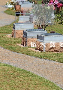 做大菠萝代理违法吗 做大菠萝代理违法吗