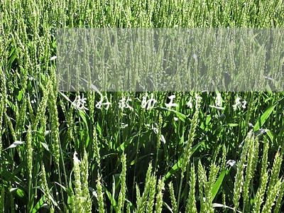 做好救助工作通知 做好救助工作通知