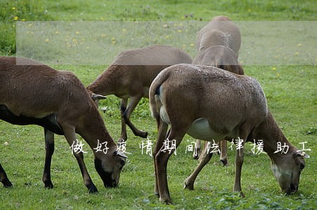 做好疫情期间法律援助工作 做好疫情期间法律援助工作