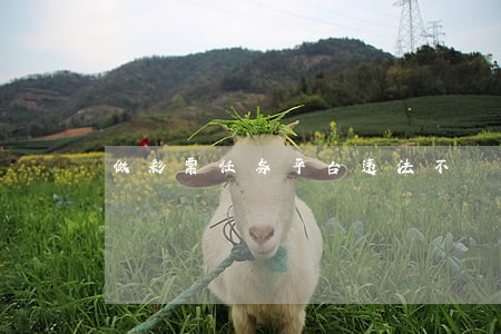 做彩票任务平台违法不 做彩票任务平台违法不