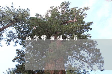 做律师当程序员 做律师当程序员