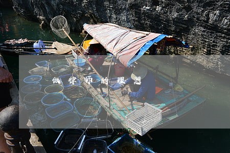 做律师的理想 做律师的理想