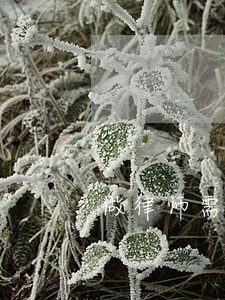 做律师需要常面对电脑吗 做律师需要常面对电脑吗