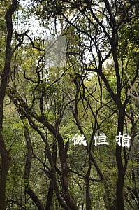 做恒指期货配资违法吗 做恒指期货配资违法吗