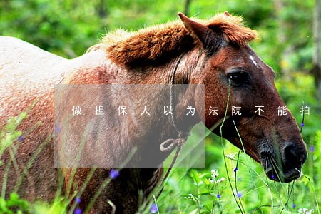 做担保人以为法院不能拍卖他房产 做担保人以为法院不能拍卖他房产