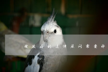 做政府的法律顾问需要什么经验 做政府的法律顾问需要什么经验