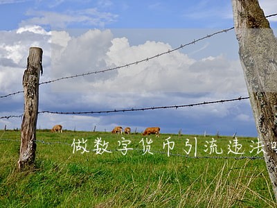 做数字货币引流违法吗 做数字货币引流违法吗
