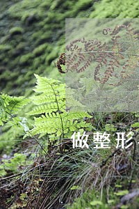 做整形手术家属没签字违法吗 做整形手术家属没签字违法吗