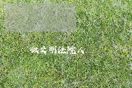 做文明法院人 做文明法院人