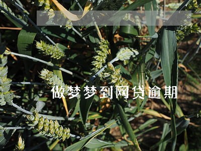 做梦梦到网贷逾期 做梦梦到网贷逾期