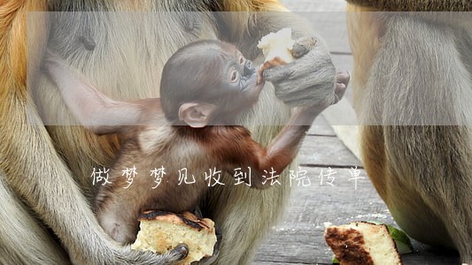 做梦梦见收到法院传单 做梦梦见收到法院传单