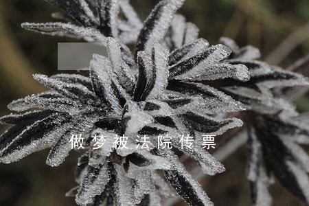 做梦被法院传票 做梦被法院传票