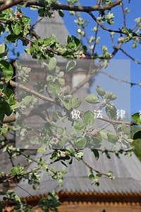 做法律咨询公司赚钱吗 做法律咨询公司赚钱吗