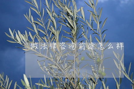 做法律咨询前途怎么样 做法律咨询前途怎么样