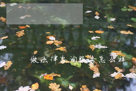 做法律咨询服务怎么样 做法律咨询服务怎么样