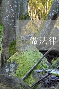 做法律咨询的软件 做法律咨询的软件