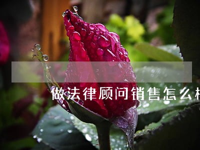 做法律顾问销售怎么样 做法律顾问销售怎么样