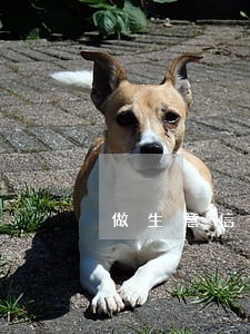 做生意信用卡逾期与消费逾期 做生意信用卡逾期与消费逾期